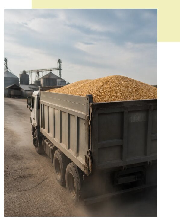 Перевозка сельхозпродукции навалом в Елизово по цене от 3038 р. | Агросервис-Лзв