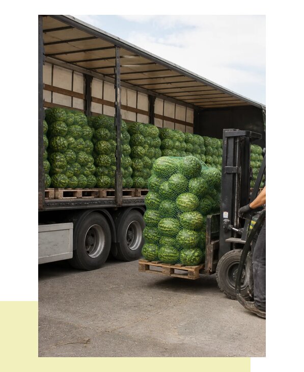 Перевозка арбузов оптом с доставкой в Елизово из регионов